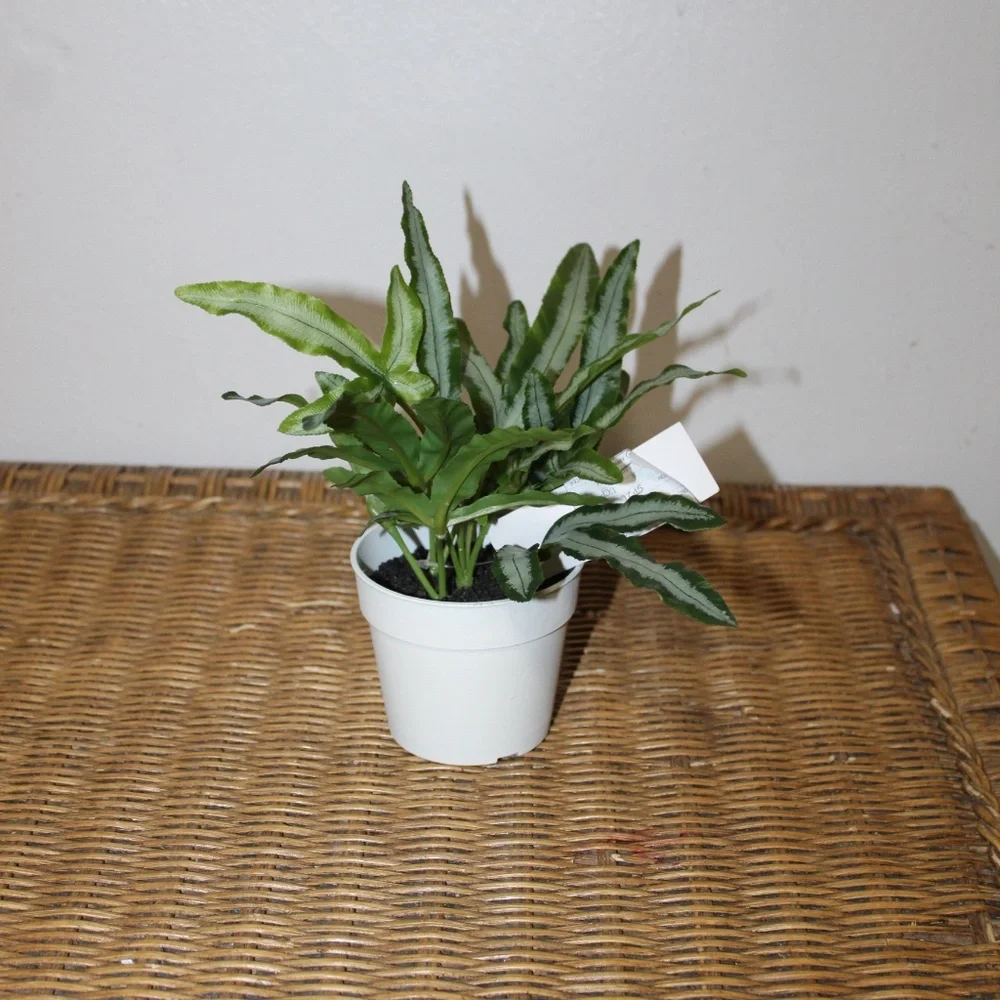 Williams Sonoma Artificial Potted Foliage.